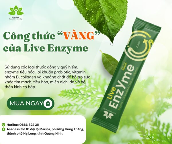 Live Enzyme Hộp 22 Gói - Hình ảnh 6
