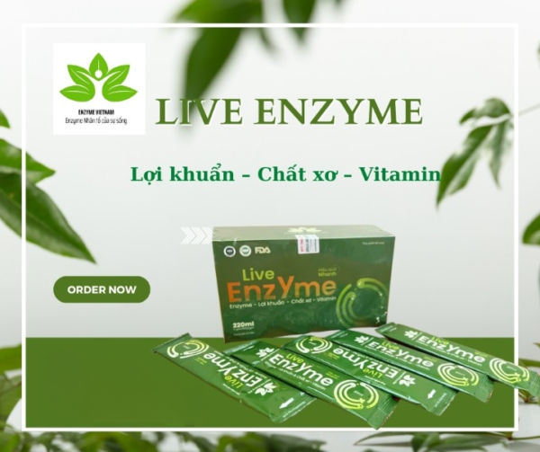 Live Enzyme Hộp 11 Gói