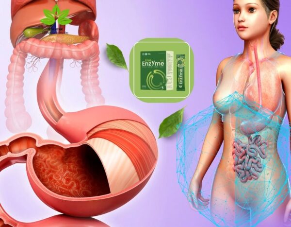 Live Enzyme Hộp 22 Gói - Hình ảnh 4