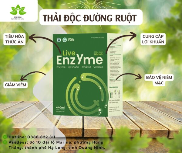 Live Enzyme Hộp 11 Gói - Hình ảnh 6