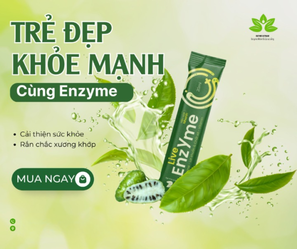 Live Enzyme Hộp 11 Gói - Hình ảnh 7