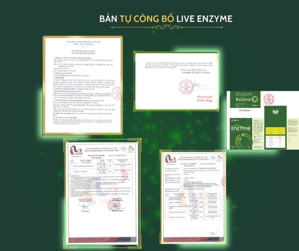 Live Enzyme Hộp 11 Gói - Hình ảnh 4